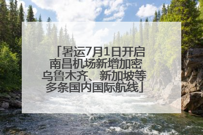暑运7月1日开启 南昌机场新增加密乌鲁木齐、新加坡等多条国内国际航线