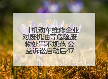 机动车维修企业对废机油等危险废物处置不规范 公益诉讼启动后47家企业依法备案