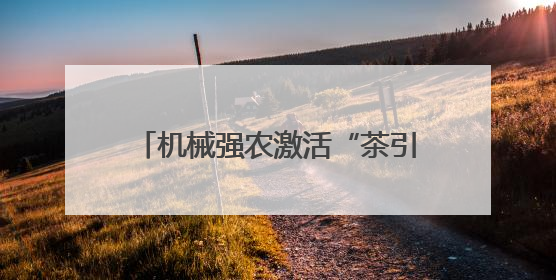 机械强农激活“茶引擎”！清镇中坝村茶产业产能提升50%