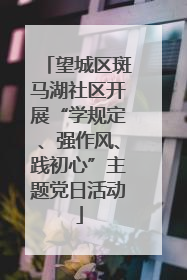 望城区斑马湖社区开展“学规定、强作风、践初心”主题党日活动