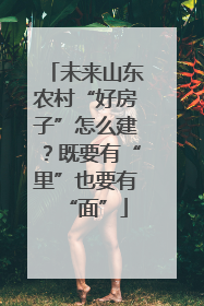 未来山东农村“好房子”怎么建？既要有“里”也要有“面”