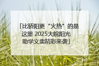 比骄阳更“火热”的是这里 2025大皖阳光助学义卖精彩来袭