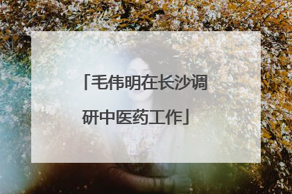 毛伟明在长沙调研中医药工作