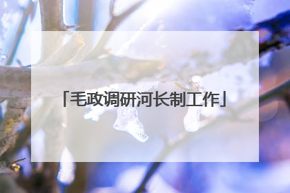 毛政调研河长制工作