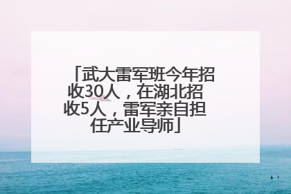 武大雷军班今年招收30人，在湖北招收5人，雷军亲自担任产业导师