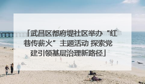 武昌区都府堤社区举办“红巷传薪火”主题活动 探索党建引领基层治理新路径