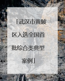 武汉市黄陂区入选全国首批综合类典型案例