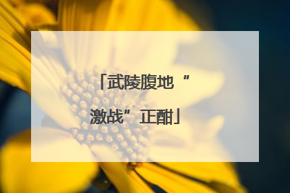 武陵腹地“激战”正酣