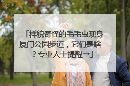 样貌奇怪的毛毛虫现身厦门公园步道，它们是啥？专业人士提醒→
