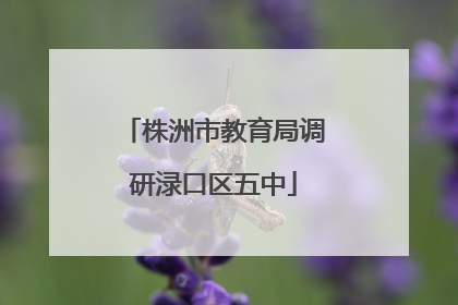 株洲市教育局调研渌口区五中