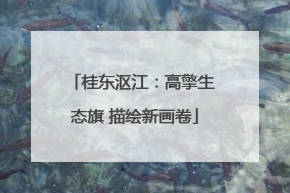 桂东沤江：高擎生态旗 描绘新画卷