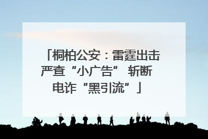 桐柏公安：雷霆出击严查“小广告” 斩断电诈“黑引流”