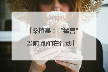 桑植县：“猛兽”当前 他们在行动