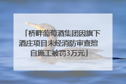 桥畔葡萄酒集团因旗下酒庄项目未经消防审查擅自施工被罚3万元