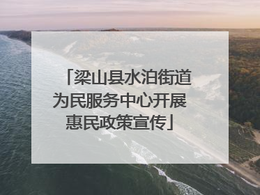 梁山县水泊街道为民服务中心开展惠民政策宣传