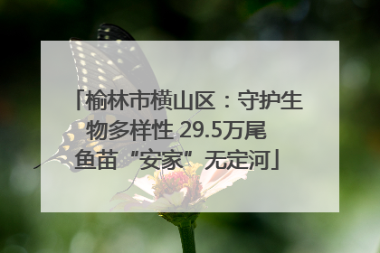 榆林市横山区：守护生物多样性 29.5万尾鱼苗“安家”无定河