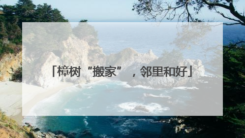 樟树“搬家”，邻里和好