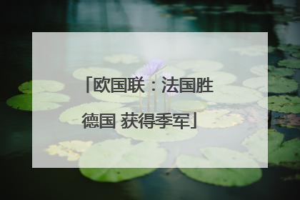 欧国联：法国胜德国 获得季军