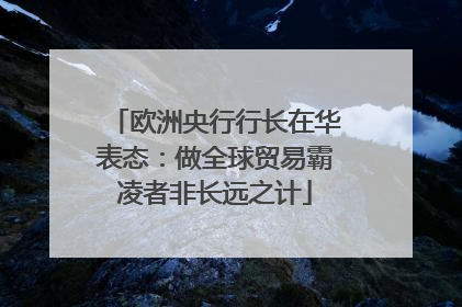 欧洲央行行长在华表态：做全球贸易霸凌者非长远之计