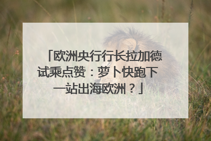 欧洲央行行长拉加德试乘点赞：萝卜快跑下一站出海欧洲？