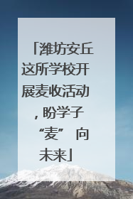 潍坊安丘这所学校开展麦收活动，盼学子 “麦” 向未来
