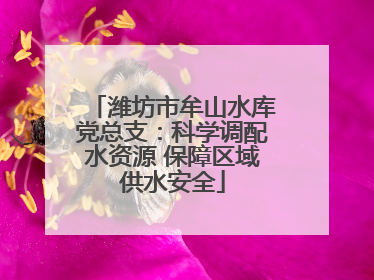 潍坊市牟山水库党总支：科学调配水资源 保障区域供水安全