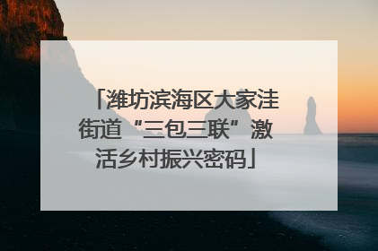 潍坊滨海区大家洼街道“三包三联”激活乡村振兴密码