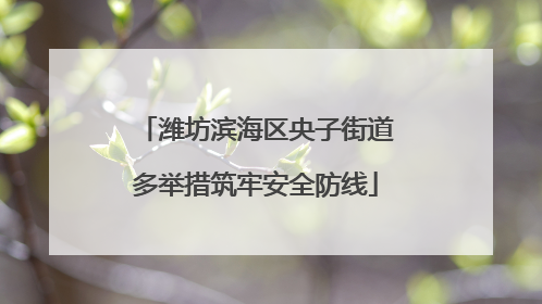 潍坊滨海区央子街道多举措筑牢安全防线