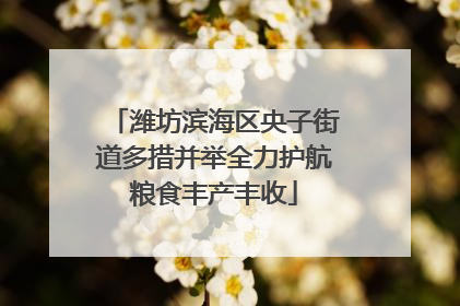 潍坊滨海区央子街道多措并举全力护航粮食丰产丰收