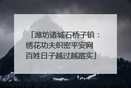 潍坊诸城石桥子镇：绣花功夫织密平安网 百姓日子越过越踏实