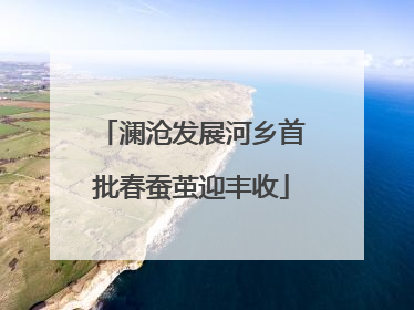 澜沧发展河乡首批春蚕茧迎丰收