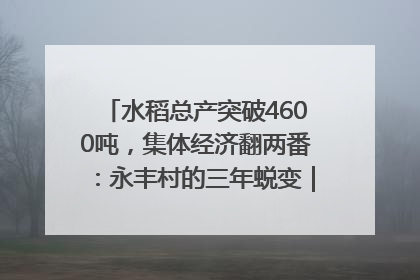 水稻总产突破4600吨，集体经济翻两番：永丰村的三年蜕变｜您牵挂的四川