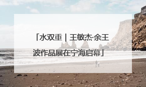 水双重｜王敏杰·余王波作品展在宁海启幕
