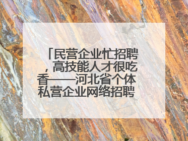 民营企业忙招聘，高技能人才很吃香——河北省个体私营企业网络招聘大会扫描