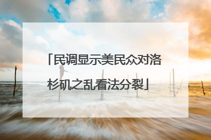 民调显示美民众对洛杉矶之乱看法分裂