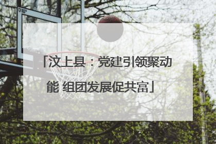 汶上县：党建引领聚动能 组团发展促共富