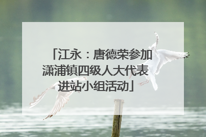 江永：唐德荣参加潇浦镇四级人大代表进站小组活动