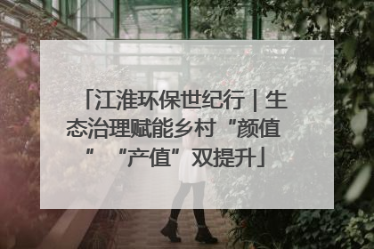 江淮环保世纪行｜生态治理赋能乡村“颜值”“产值”双提升