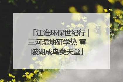 江淮环保世纪行｜三河湿地研学热 黄陂湖成鸟类天堂