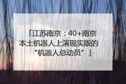 江苏南京：40+南京本土机器人上演现实版的“机器人总动员”