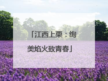 江西上栗：绚美焰火致青春