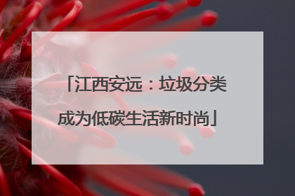 江西安远：垃圾分类成为低碳生活新时尚