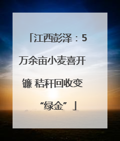 江西彭泽：5万余亩小麦喜开镰 秸秆回收变“绿金”