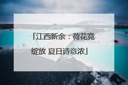 江西新余：荷花竞绽放 夏日诗意浓