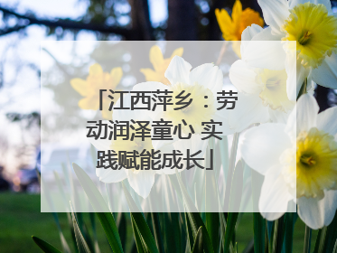 江西萍乡：劳动润泽童心 实践赋能成长