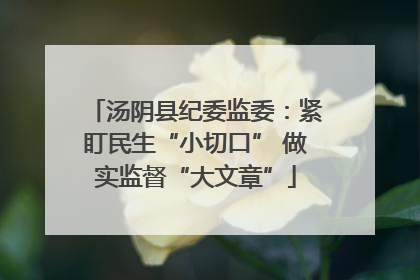 汤阴县纪委监委：紧盯民生“小切口” 做实监督“大文章”