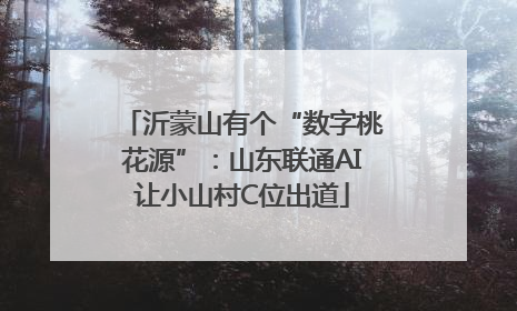 沂蒙山有个“数字桃花源”：山东联通AI让小山村C位出道