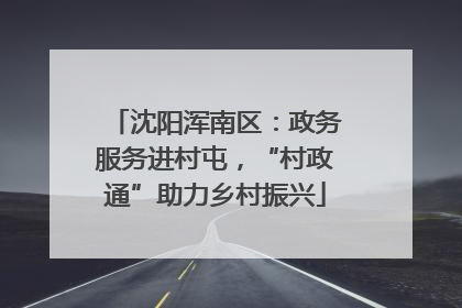 沈阳浑南区：政务服务进村屯，“村政通”助力乡村振兴