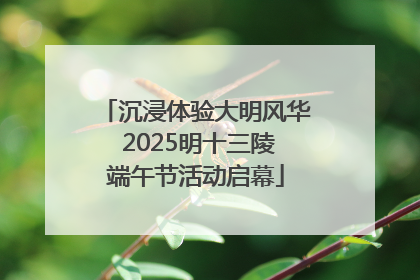 沉浸体验大明风华 2025明十三陵端午节活动启幕