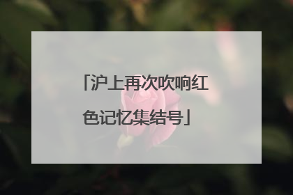 沪上再次吹响红色记忆集结号